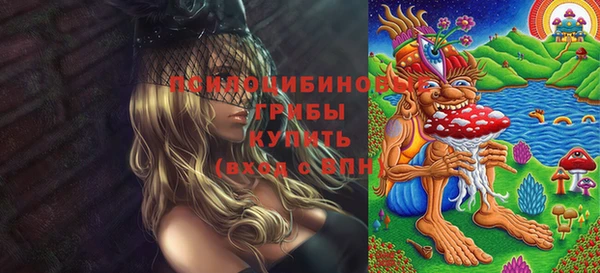 гидропоника Абинск