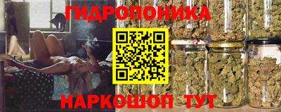 трава Абинск