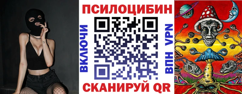 Галлюциногенные грибы GOLDEN TEACHER  blacksprut зеркало  Александров  дарнет шоп 