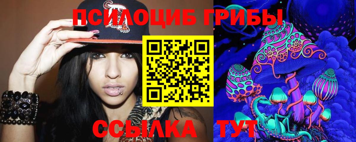 Галлюциногенные грибы мицелий  Вход с VPN  Галлюциногенные грибы Magic Shrooms  Александров 