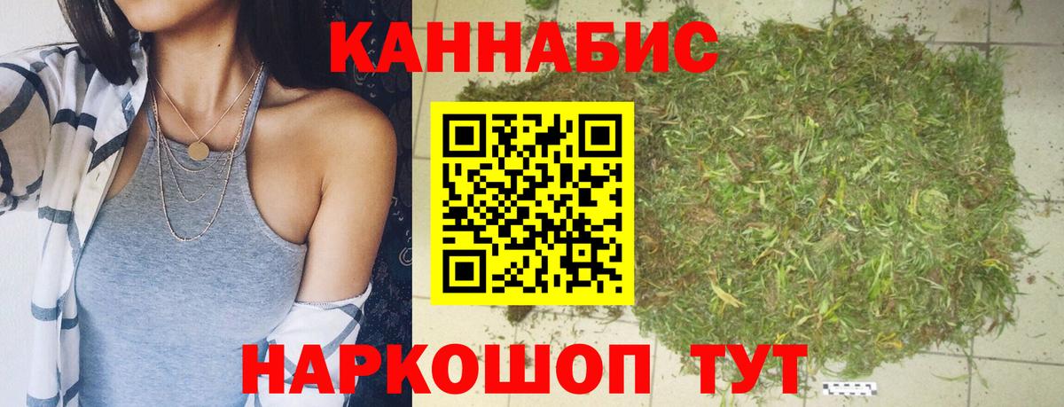 Канабис конопля Александров